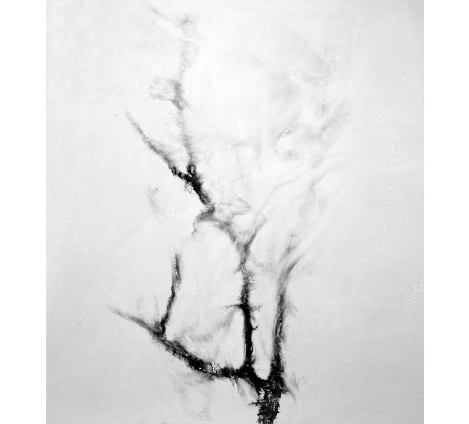 Albero in fiamme
